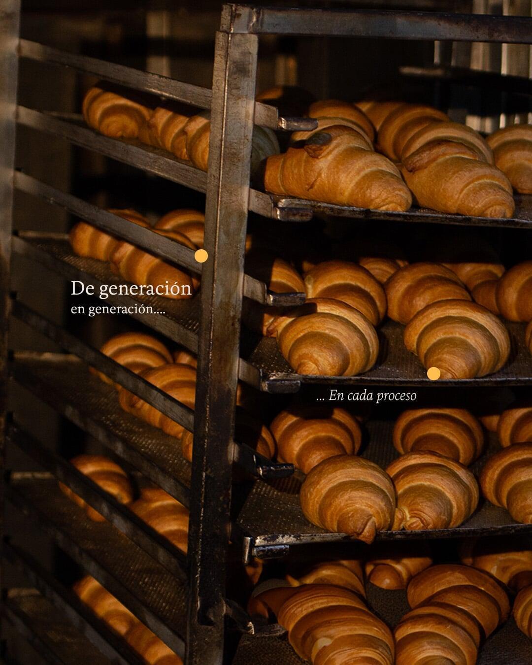 About Section Image